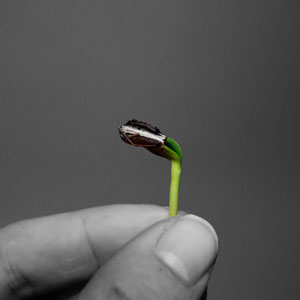 ［画像］武田双雲さんに書き下ろしていただいた書